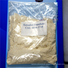 Esteróide de Estrogênio Enantato de Estradiol CAS: 4956-37-0